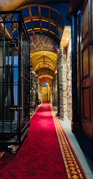 Castell Roissy - Bizarrstudio