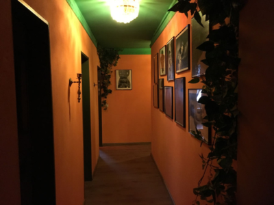 Japan Haus auch Escortservice!