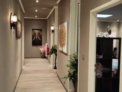 Cafe Traumlady International