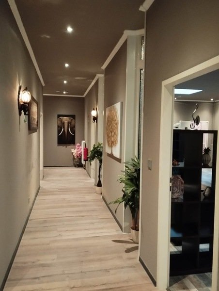 Cafe Traumlady International